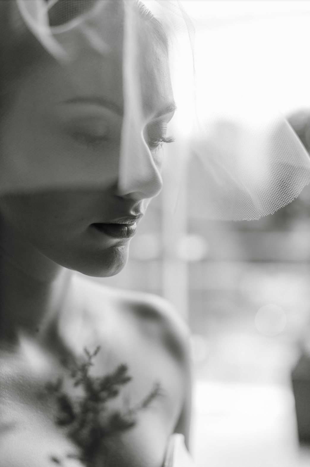 Birdcage Veil