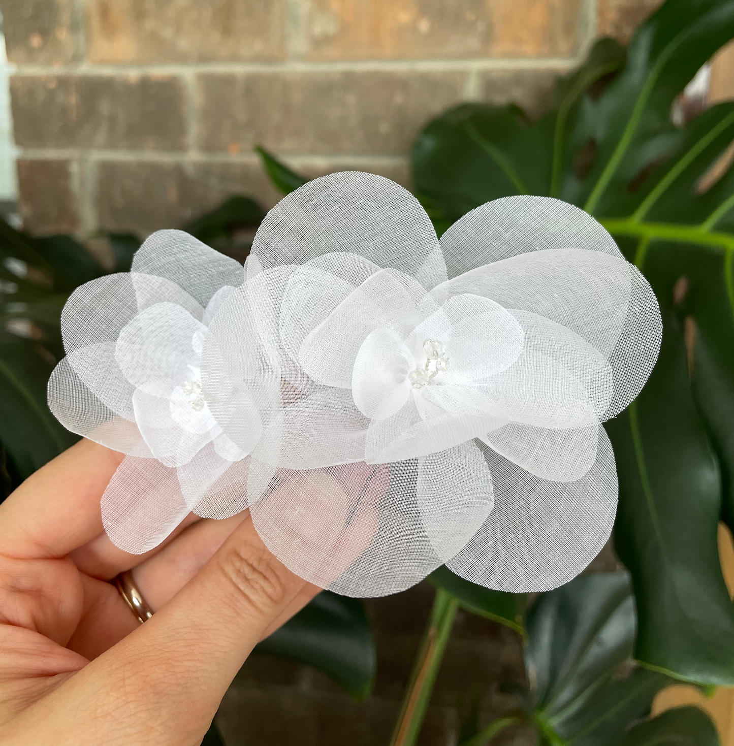Flor Mima