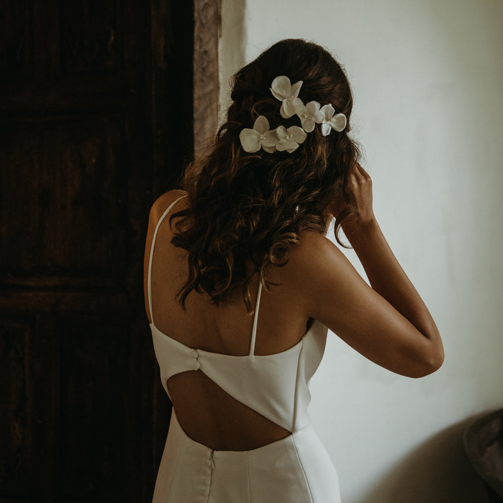 Flor Orquídea