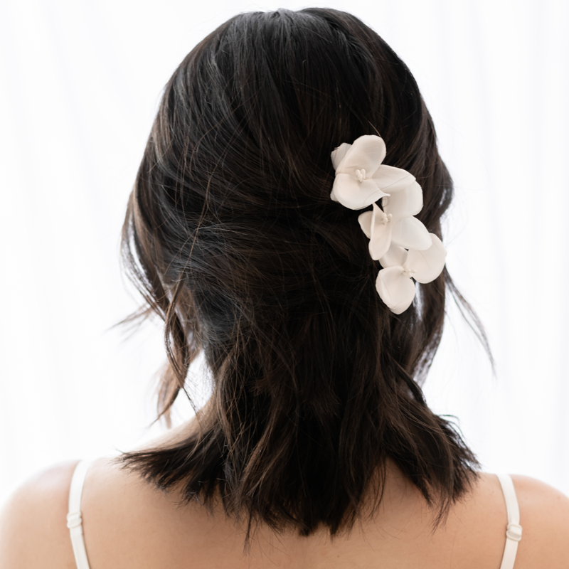 Flor Orquídea